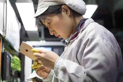 富士康全力保障iPhone 12生產(chǎn)，但延期發(fā)布與軟件開發(fā)現(xiàn)狀影響市場預(yù)期